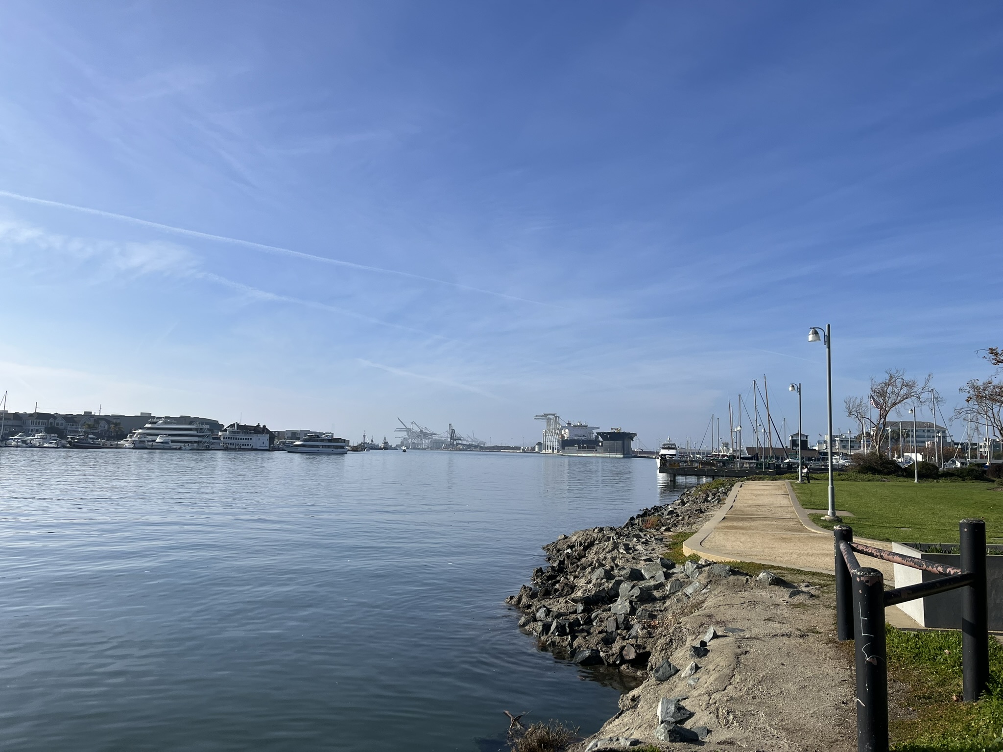 The Oakland shoreline