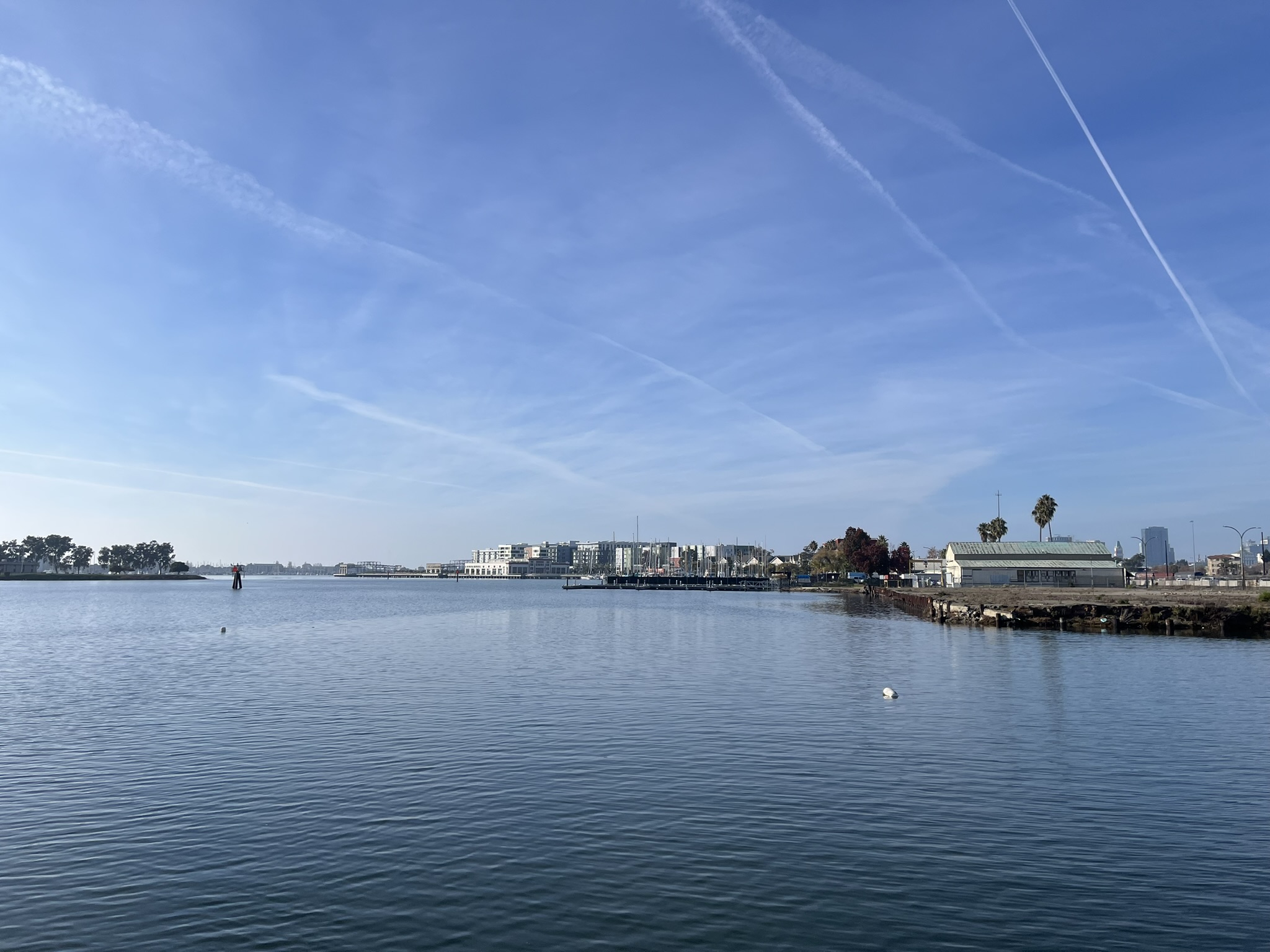 The Oakland shoreline